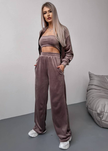 Базовый повседневный велюровый костюм двойка: укороченный худые на молнии + штаны Україна (328214439)
