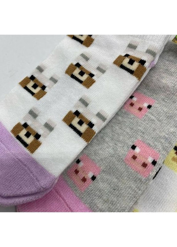 Набір дитячих шкарпеток C&A (358936021)