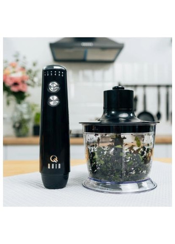 Блендер QUIN HB-103 (366735996)