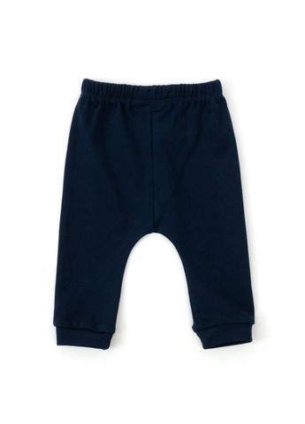 Комбінований демісезонний набір дитячого одягу prince (14827-68b-blue) Miniworld