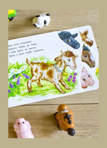 Картонки-розвивайки 410023 Перші кроки. На фермі Ranok Creative (308997388)