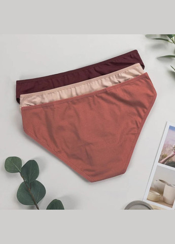 Набір трусиків жіночих сліпи трійки 3 шт Dominant (303724854)