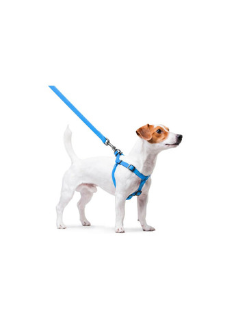 Шлея для собак водостійка Waterproof Металева пряжкафастекс, Ш 15 мм, Д 40-55 см Блакитний WAUDOG (279569804)
