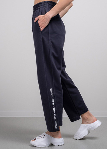 Штаны спортивные синие 102291 Power (266147455)