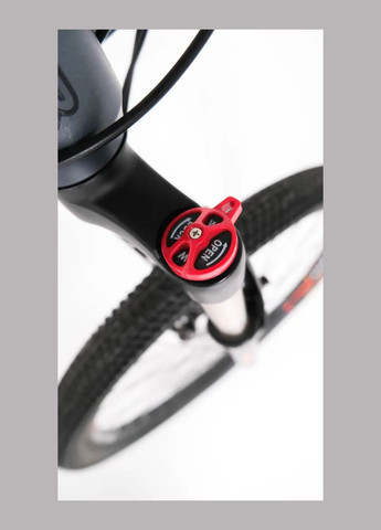 Электровелосипед " S300" 750W, 16Ah, 48V, Ø-29, 50 км/ч, Grey Hammer (302894236)