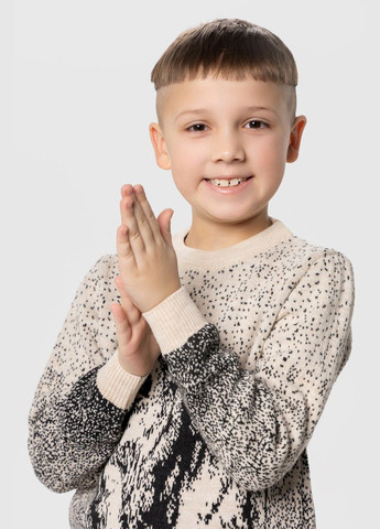 Светр однотонний для хлопчика 434 116 см (2000990167545W) shop (2000990167545) Cilivili (338792425)