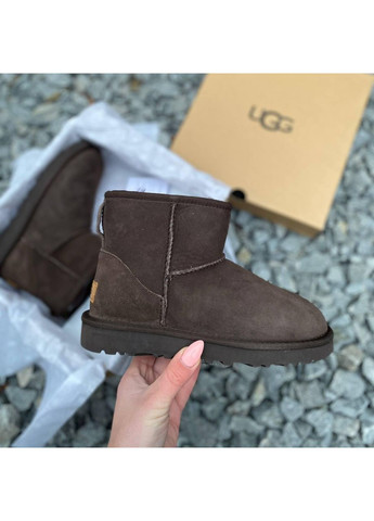 Уггі Чоловічі UGG Classic Mini II No Brand (364860264)