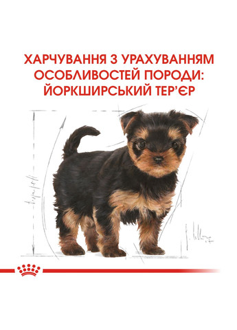 Корм для щенков йоркширский терьер Yorkshire Terrier Puppy от 2 до 10 месяцев 1.5 кг (3182550743471) (39720151) Royal Canin (317171204)