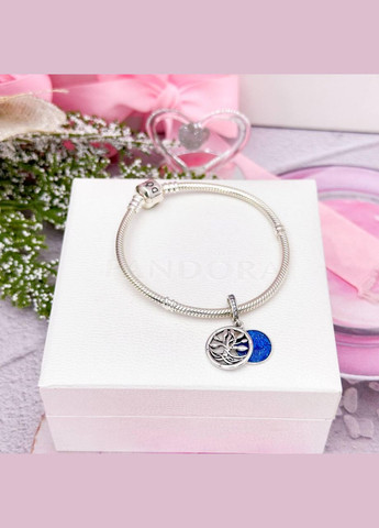 Срібна намистина «Родина — це місце, де росте любов» No Brand (330768619)