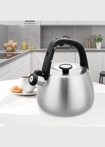 Чайник со свистком для плиты 2.5 л (MR-1318) Maestro (334713854)