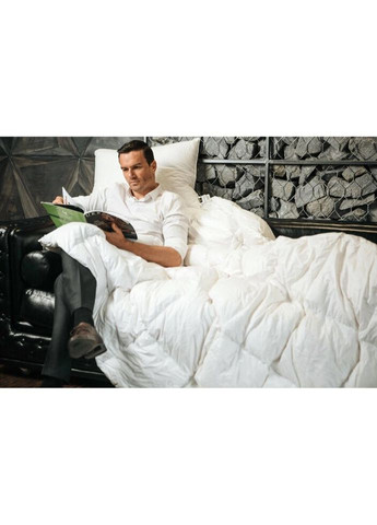 Одеяло антиаллергенное Тенсель (Modal) №1352 Luxury Exclusive Демисезонное 110x140 см (2200001526822) Mirson (315027584)