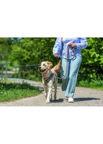 Ошейник Cavo для собак полуудавка XS–S 25–31 см диаметр 12 мм розово-песочный Trixie (372504901)