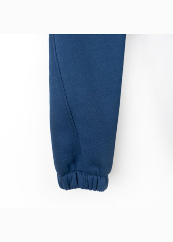 Детский теплый костюм Dexter`s на флисе blue dexter's (304547893)