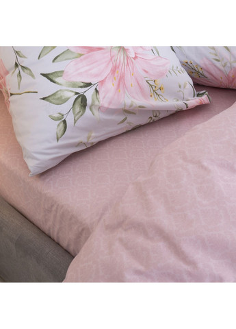 Комплект постільної білизни Isleep сімейний ранфорс Viluta 24255_sm_isleep (366447989)