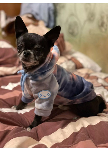 Толстовка для собак з капюшоном XL No Brand (362136098)