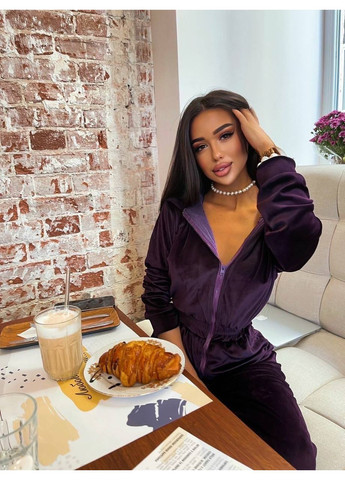 Комбинезон велюровый на змейке с женский капюшоном. No Brand тёмно-фиолетовый