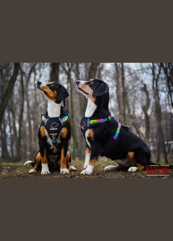 Шлея з нейлону з візерунком Keeper, логотипом та пластиковою пряжкою 20 мм А:420-520 мм, В:500-630 мм Kareline (339074888)