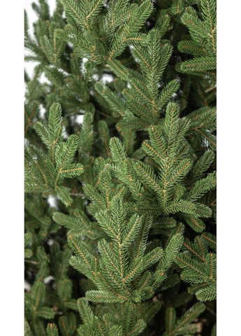 Ялинка Віденська штучна з густою хвоєю (Зелена) 1.8м No Brand (332635203)