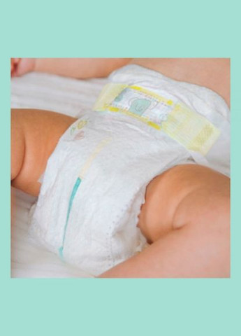 Підгузок Premium Care Midi Розмір 3 (610 кг) 40 шт (8001090379337) Pampers premium care midi розмір 3 (6-10 кг) 40 шт (268144757)