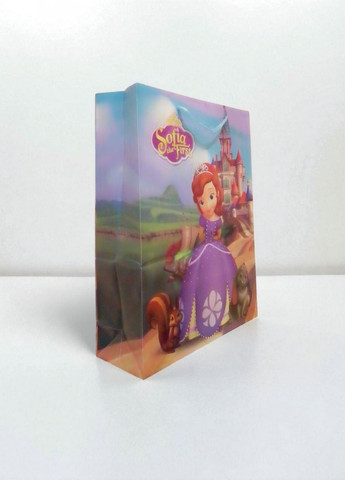 Подарунковий пакет PVC “Софія Прекрасна” No Brand (361970839)