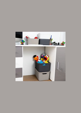 Контейнер для хранения вещей с крышкой Jive 5 л (10522) Rotho (334713624)