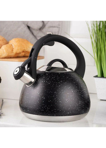 Чайник нержавеющая сталь 2.5 л Gemini Ardesto (364195660)