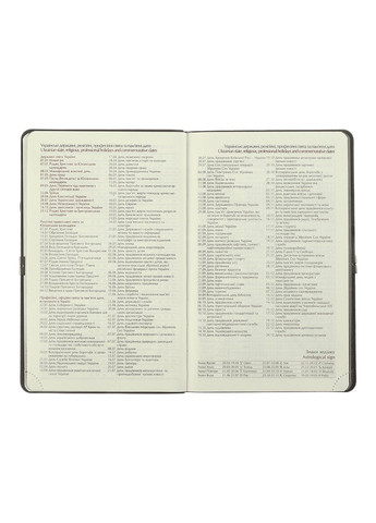 Щоденник датований 2026 VELOUR, A6, синій, штучна шкіра BM.2512-02 Buromax (361971025)