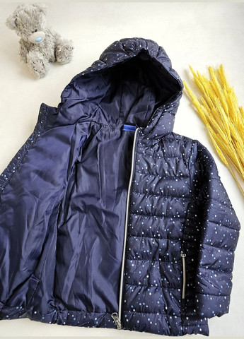 Темно-синяя демисезонная куртка демисезонная с капюшоном Lupilu Куртка