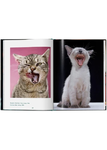 Walter Chandoha. Cats. Photographs 1942-2018 Taschen (370078636)