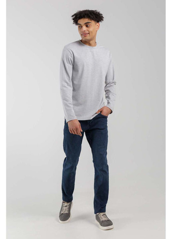 Серые кеды мужские Filkison