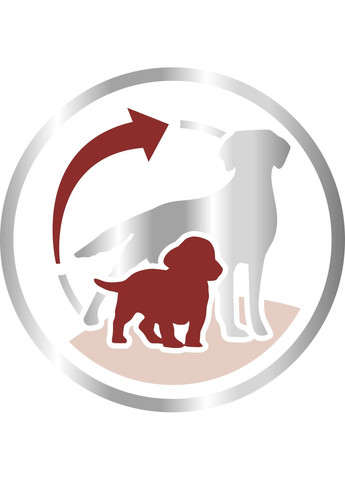 Сухой корм для собак Medium Starter в период беременности и щенков средних пород до 2 месяцев 1 кг Royal Canin (279570560)