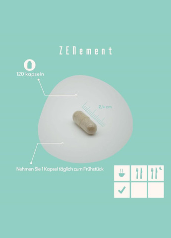 Ноотропний комплекс (гінкго білоба, бакопою, теаніном, тирозином,) 120 капсул Zenement (299717627)