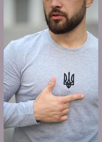 Лонгслів чоловічий "Pulse" Vakko сірий