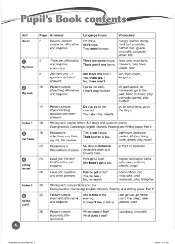 Grammar Goals. Level 2. Pupil's Book + eBook Pan MacMillan (370127007)