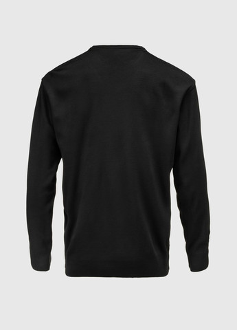 Чорний демісезонний джемпер однотонний чоловічий 1123 (2000990010063d) shop (2000990010063) Akin Trico