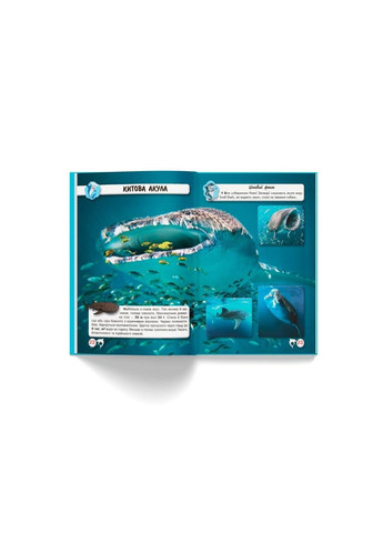 Книга "Світ навколо нас. Акули" Кристал Бук (351346718)