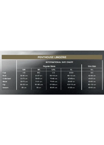 Боді Be Mine Black Penthouse чорний нейлон, еластан