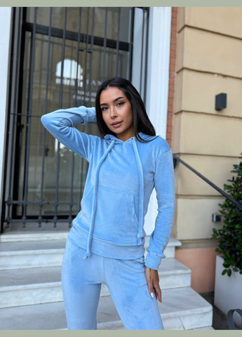 Спортивний велюровий костюм LeVi (316466740)