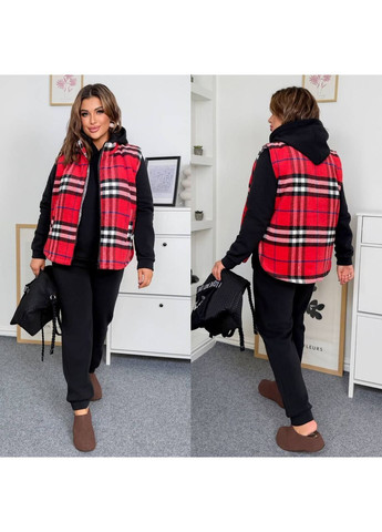 Костюм ТРОЙКА Жилет плотный кашемир,синтепон 150 в клетку,брюки и худые тринитки на флисе Україна (362697596)