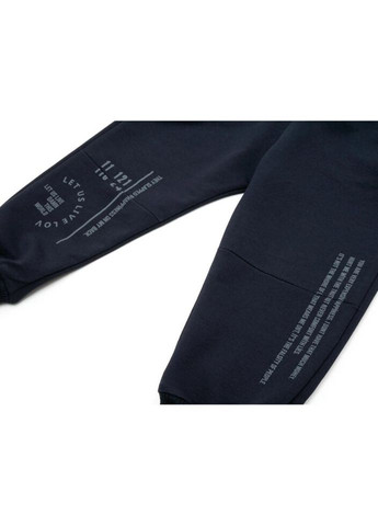 Темно-синие демисезонные брюки Joi