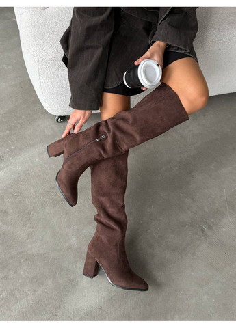 Елегантні жіночі чоботи No Brand (366216786)