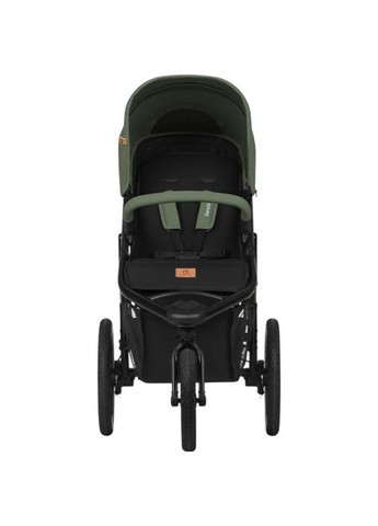 Прогулочная тележка Azura Green Forest (LO-Azura Green Forest) Lionelo (370034093)