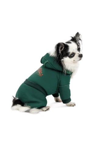 Костюм Berry для собак Pet Fashion (377092448)