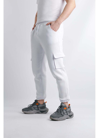 Белые спортивные демисезонные брюки Intruder
