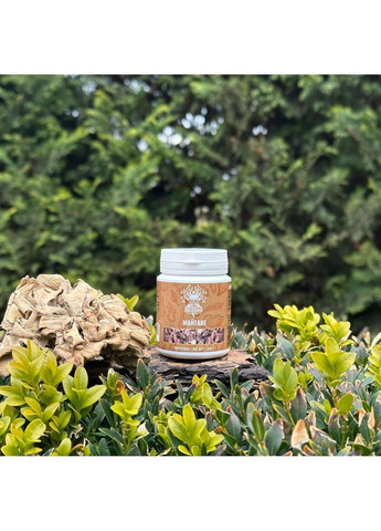 Гриб Майтаке пігулки 60 шт Лісовик (364210660)