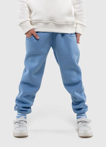 Голубые спортивные зимние брюки AZN