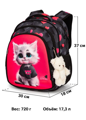 Шкільний рюкзак для дівчаток /SkyName R2-221 Winner (331532396)