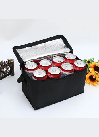 Небольшая термо сумка-холодильник для хранения напитков и продуктов на 5 литров черная No Brand (314933774)