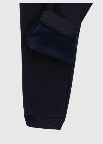 Темно-синие зимние брюки Cegisa