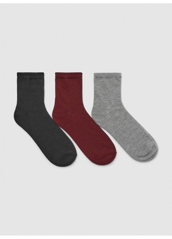 Серые набор носков женщин Terranova однотонные (363045488)